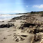Cabopino *